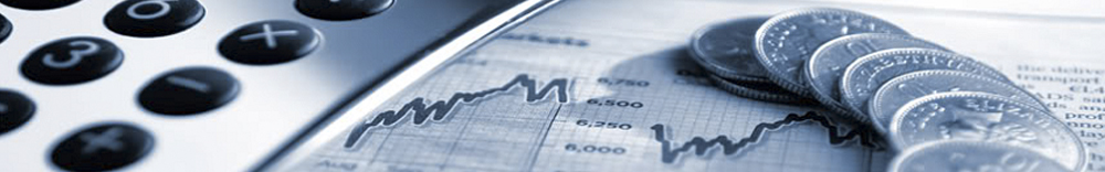 Services - Specialised Services for Non Banking Finance Companies and Investors